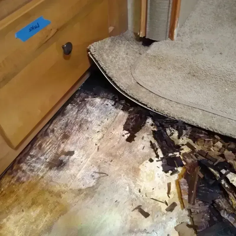 Wood Floor Water Damage in Nicollet County, MN